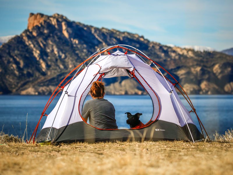 Integrate clicks-and-mortar methodologies